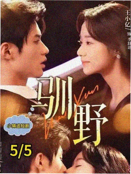 中华小子 相关推荐
